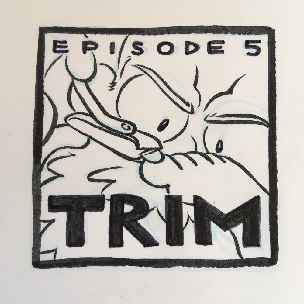 Episode 5: Trim